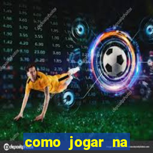 como jogar na seninha online